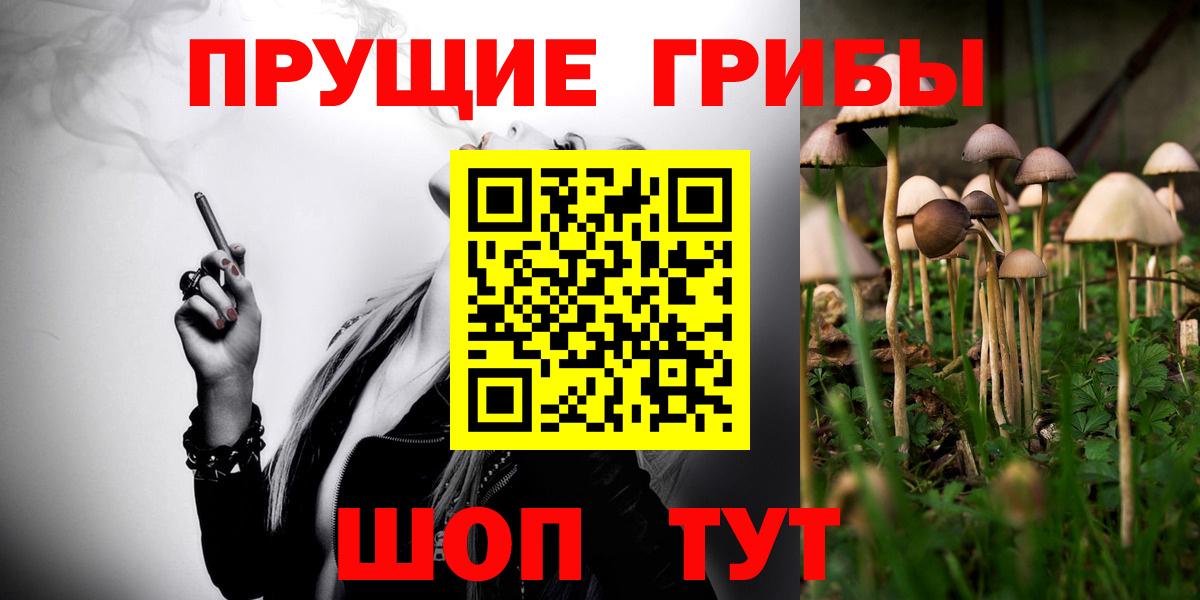 Таганрог  Галлюциногенные грибы Psilocybine cubensis  Вход с VPN 